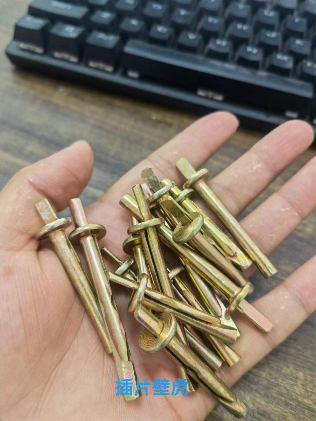 1773130380330209.jpg 插片壁虎.jpg